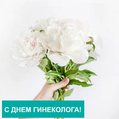 15 ИЮЛЯ - День гинеколога -Наши новости