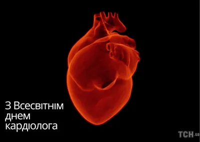 С днем кардиолога — Голос Медицины на TenChat.ru