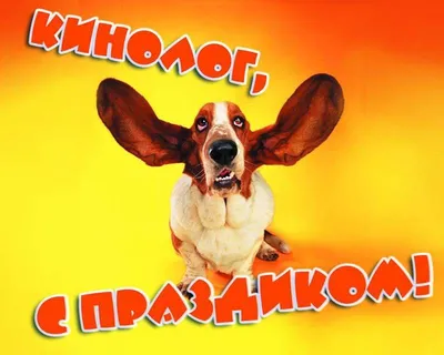 fordogtrainers.ru on X: \"С Днем Кинолога!!! Пусть верность, взаимопонимание  и настоящая дружба станут надежными спутниками в столь интересной и нужной  работе! https://t.co/vILhjvMwdd\" / X