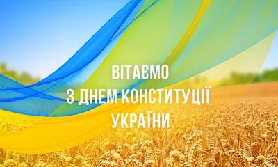 С Днем Конституции Украины! — статьи от Dolya