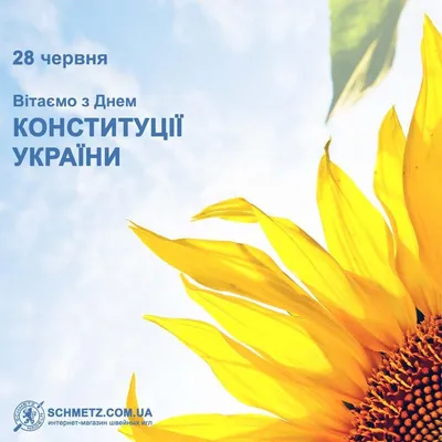 Поздравления с Днем Конституции Украины - открытки, картинки, стихи и смс -  Апостроф