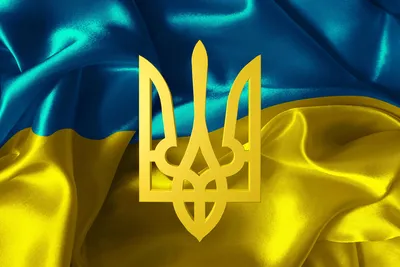 С Днем Конституции Украины! - ГК «Зерновая Столица»
