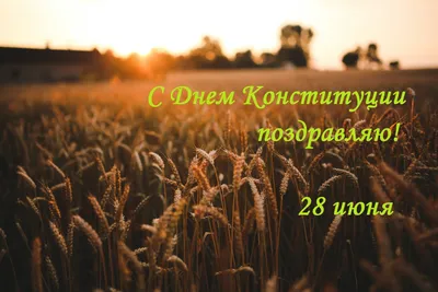 C Днем Конституции Украины! - Kitgroup