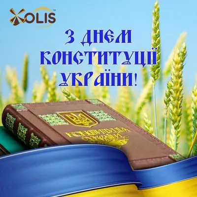 День Конституции 28 июня - интересные факты о Конституции | РБК Украина