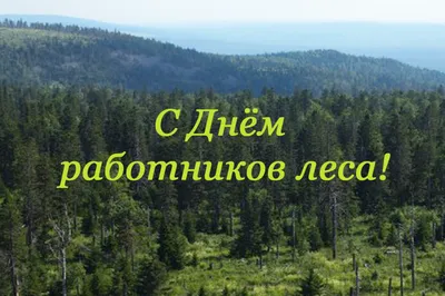 Поздравление с Днём работников леса! | Союз лесовладельцев Нижегородской  области