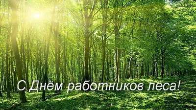 Поздравление с Днем работников леса | kazbekovskiy.ru