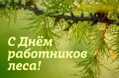 Министр экологии, геологии и природных ресурсов Казахстана Магзум  Мирзагалиев поздравил работников лесного хозяйства страны с  профессиональным праздником - Единый экологический интернет-ресурс