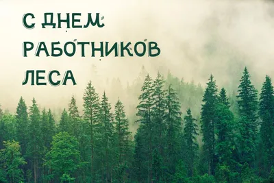 День работников леса | 18.09.2020 | Новости Соль-Илецка - БезФормата