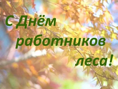 Дума Ставропольского края - 19 сентября – День работников леса и  лесоперерабатывающей промышленности