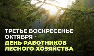 В адрес УГЛТУ продолжают поступать поздравления с Днём работников леса |  17.09.2021 | Екатеринбург - БезФормата