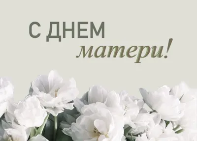Поздравление Ректора БНТУ с Днем матери – Белорусский национальный  технический университет (БНТУ/BNTU)