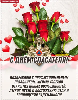 Поздравление Дарьи Морозовой с Днем Спасателя — Уполномоченный по правам  человека в ДНР