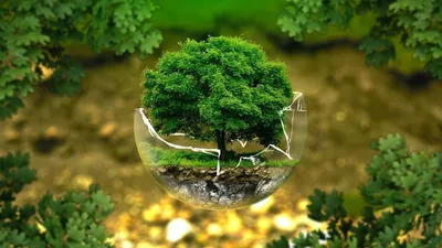 С Всемирным днем охраны окружающей среды от Русклимат — свежие и актуальные  новости от «Русклимат»