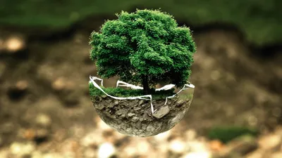 Всемирный день окружающей среды. День эколога. | сергей гончаров | Дзен