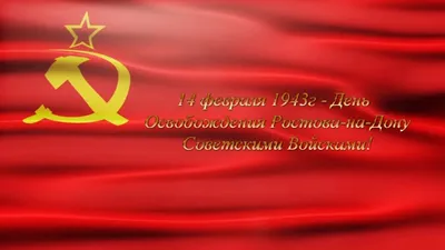 14 февраля день освобождения Ростова-на-Дону. Везти детей в холод  показывать памятники или нет? | Удивляться разрешено | Дзен