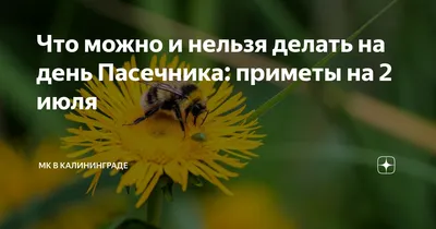 Зосима Пчельник или День пасечника - YouTube