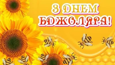 С Днем пасечника 2021: поздравления для пчеловодов, видео и открытки |  OBOZ.UA