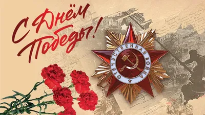 Проект «Мы посвящаем»: известные телеведущие и актеры читают стихи о  Великой Отечественной войне - KP.RU