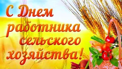 Поздравляем с Днём работника сельского хозяйства и перерабатывающей  промышленности! — Новости — ЗАО «Завод Премиксов №1»