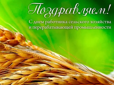 Поздравление Константина Клюки с Днем работника сельского хозяйства и перерабатывающей  промышленности - Агропромышленный холдинг «ПРОМАГРО»