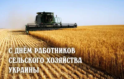 День работников сельского хозяйства Украины 2022: когда праздновать,  поздравления в стихах и прозе, история праздника — Украина
