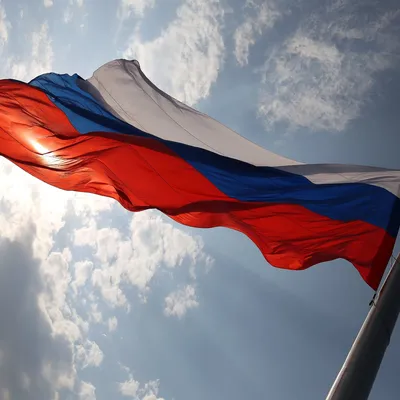 День Российского флага картинка | Флаг, Правильное воспитание, Первый  учитель