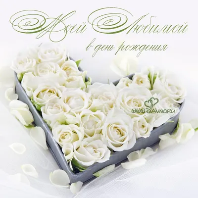 Pin by Noa on С днем рождения! | White roses, White rose bouquet, White  roses wallpaper
