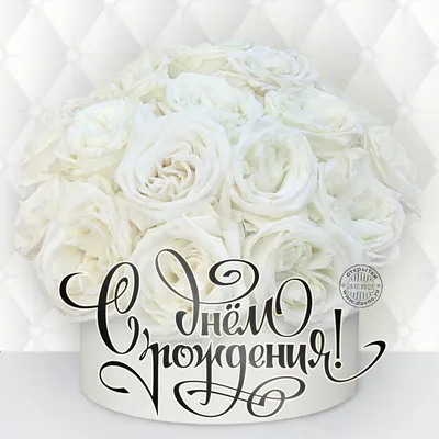 Шикарная и дорогая открытка с днем рождения с белыми розами — Скачайте на  Davno.ru