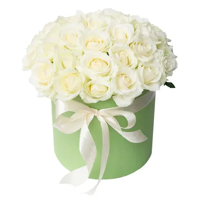Открытки с белыми розами с Днем Рождения (50 штук)