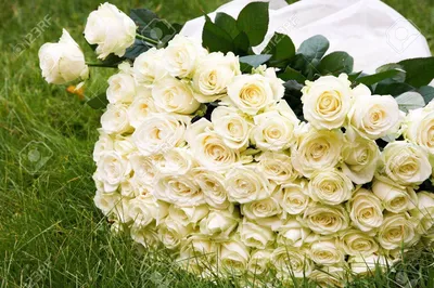 С днем рождения белые розы женщина…» — создано в Шедевруме