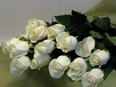 Картинки с днем рождения белые розы - 82 фото
