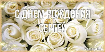 Букет из 15 белых роз Премиум Эквадор» - купить в Москве за 4 890 руб