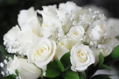 С юбилеем женщине белые розы - 82 фото