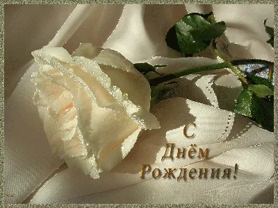 Букет из 11 белых роз» - купить в Улан-Удэ за 3 310 руб