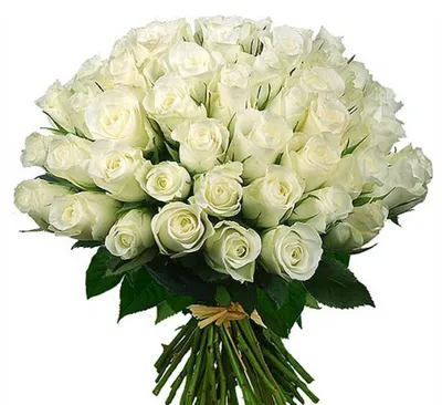 Букет белых роз и шампанское купить в интернет-магазине Кубань-Букет по  цене 6 430 руб..