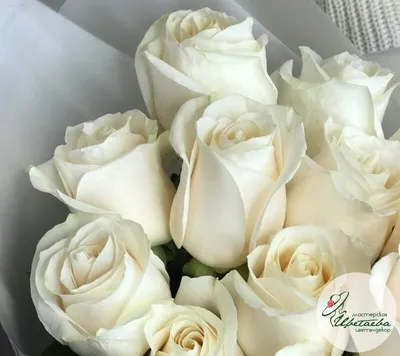 Красивый букет роз для приветствий Концепция с днем рождения Стоковое Фото  - изображение насчитывающей счастливо, лепесток: 111601524