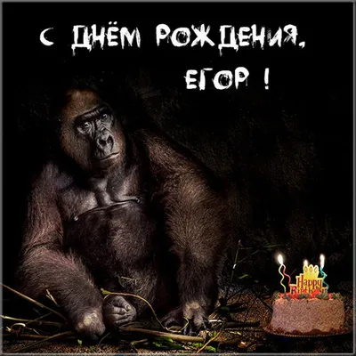 Открытки \"Егор, с Днем Рождения!\" (100+)