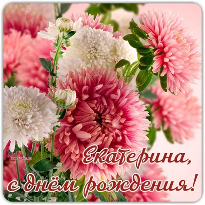 Розовые кустовые хризантемы с именем \"мама\" за 18 090 руб. | Бесплатная  доставка цветов по Москве