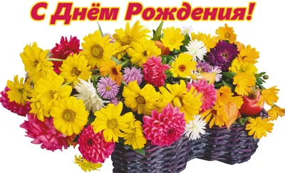 Хризантемы с доставкой в Щёлково быстро| букет цветов недорого - Lilium