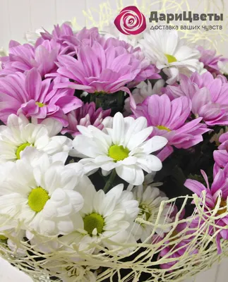 Хризантемы и Ирисы заказать с доставкой в Челябинске - салон «Дари Цветы»