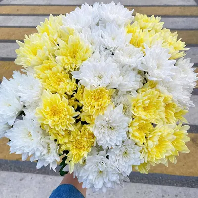 Букет из 21 белой хризантемы | купить недорого | доставка по Москве и  области