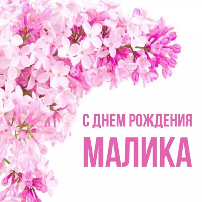 С днём рождения, Малика! Музыкальное поздравление!