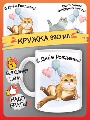 с днём рождения котик #озвучкамультиков #кот #озвучка #прикол #озвучка... |  TikTok