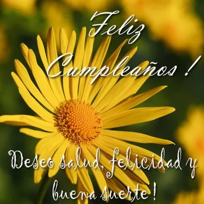 Feliz cumpleanos happy birthday, написанный на испанском языке, винтажный  коллаж открытки. | Премиум векторы