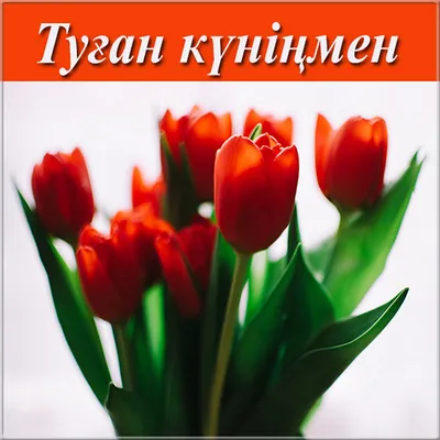 туған күніңізбен құттықтаймыз открытка: 1 тыс изображений найдено в Яндекс  Картинках