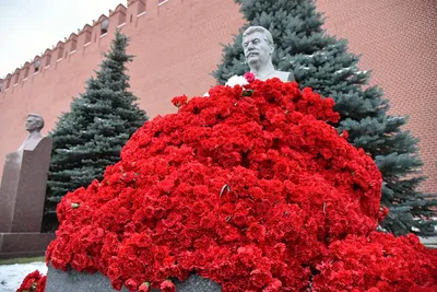 С днем рождения, товарищ Сталин! | Интересные факты, С днем рождения,  Социалистическая республика