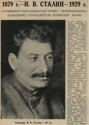 Сызрань отметила День Рождения Сталина