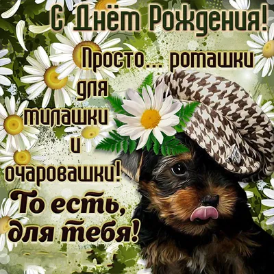 Композиция Корзина ромашек» с танацетумом и хризантемами - купить в Москве  за 5 190 руб