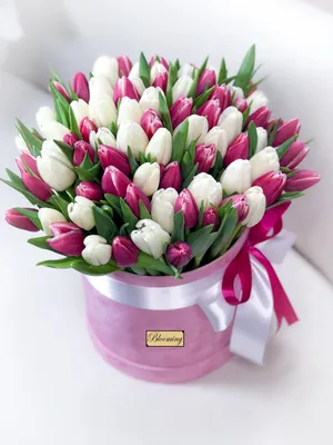 Картинки С Днем Рождения Цветы Тюльпаны фотографии