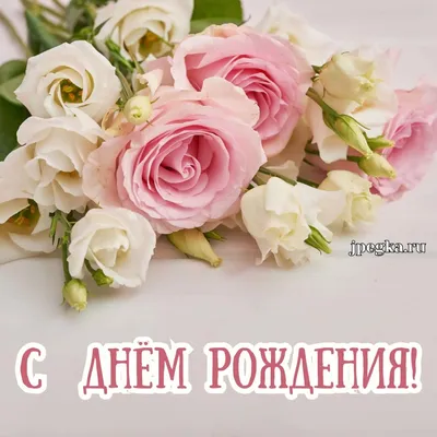 С днём рождения цветы хризантемы …» — создано в Шедевруме